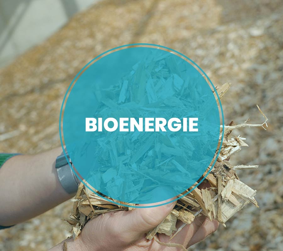 bioenergie
